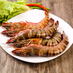 Prawn Medium(40 Count)